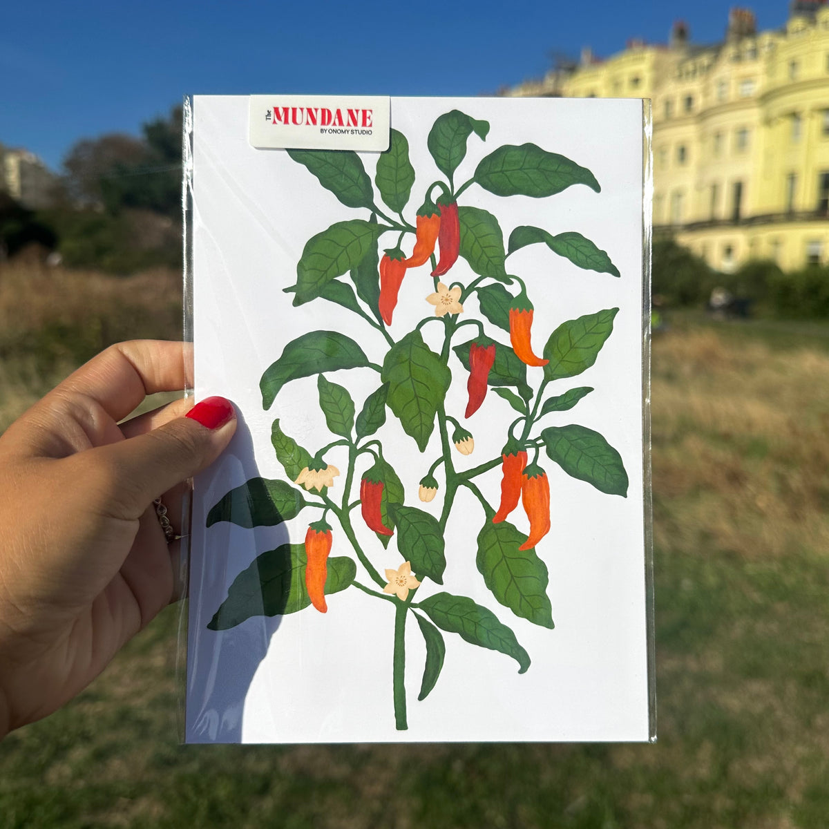 Chilli Plant Giclée Art Print