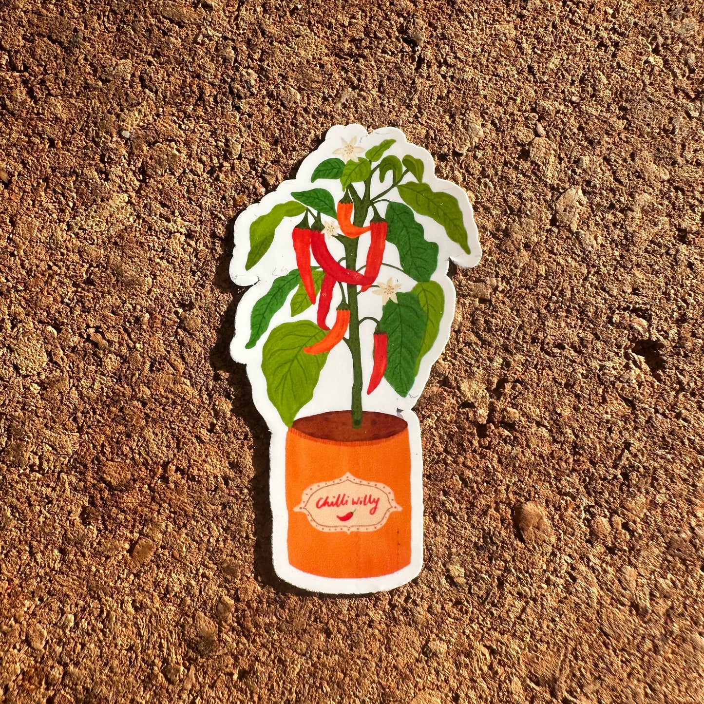 Chilli Willy Vinyl Sticker