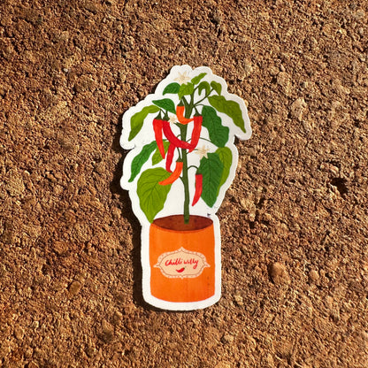 Chilli Willy Vinyl Sticker