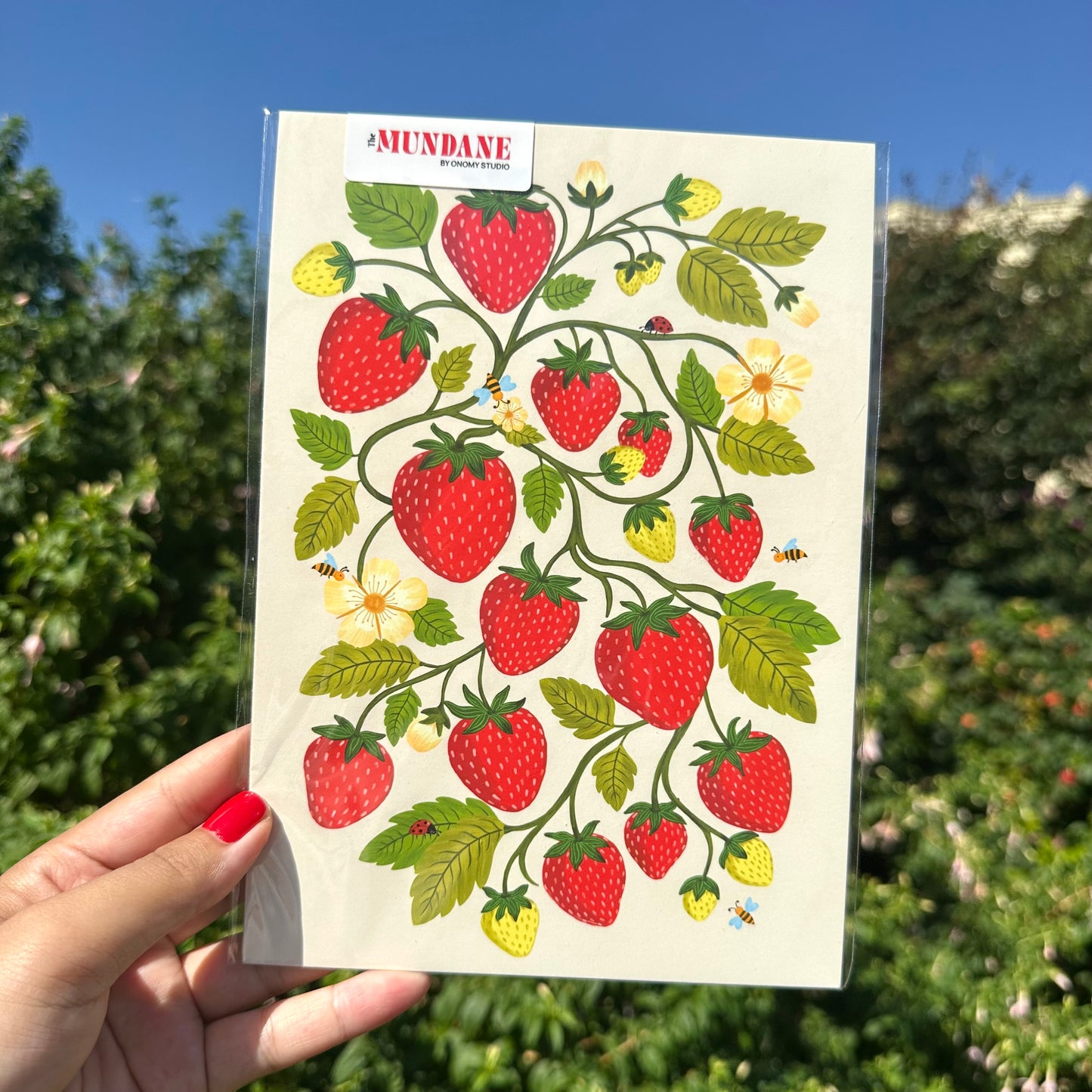 Sheet of strawberry-themed stickers held by a hand with a green outdoor background
