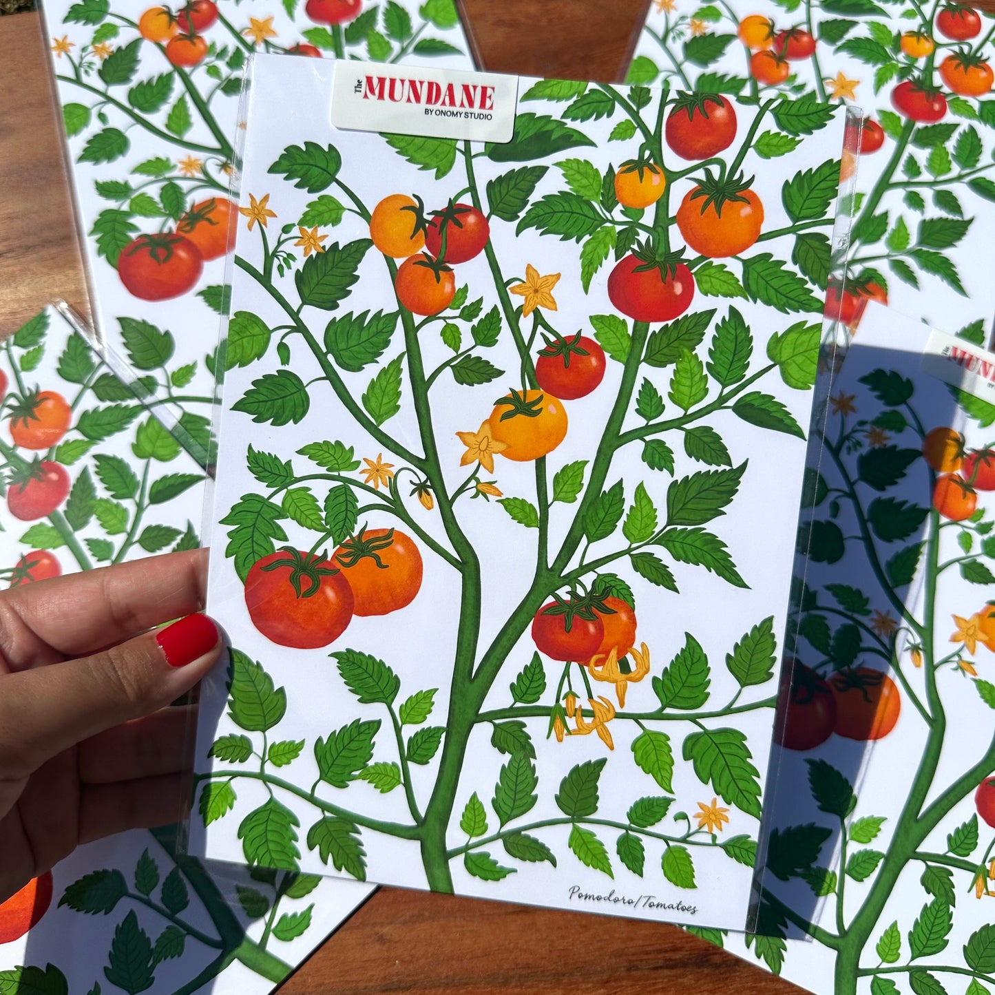 Notebook with tomato design held by a hand, surrounded by similar notebooks on a wooden surface.