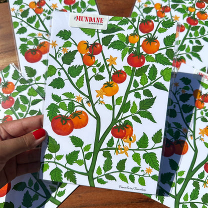 Notebook with tomato design held by a hand, surrounded by similar notebooks on a wooden surface.