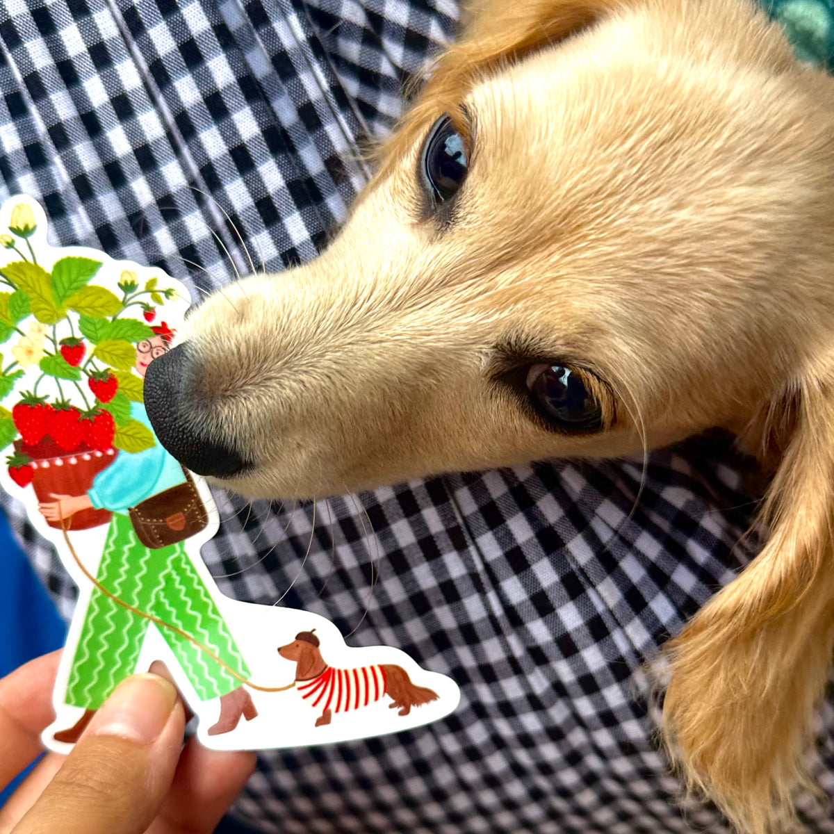 Strawberry Lady and Sausage Dog Vinyl Sticker