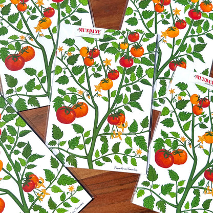 Tomato plant pattern with tomatoes and leaves on a white background