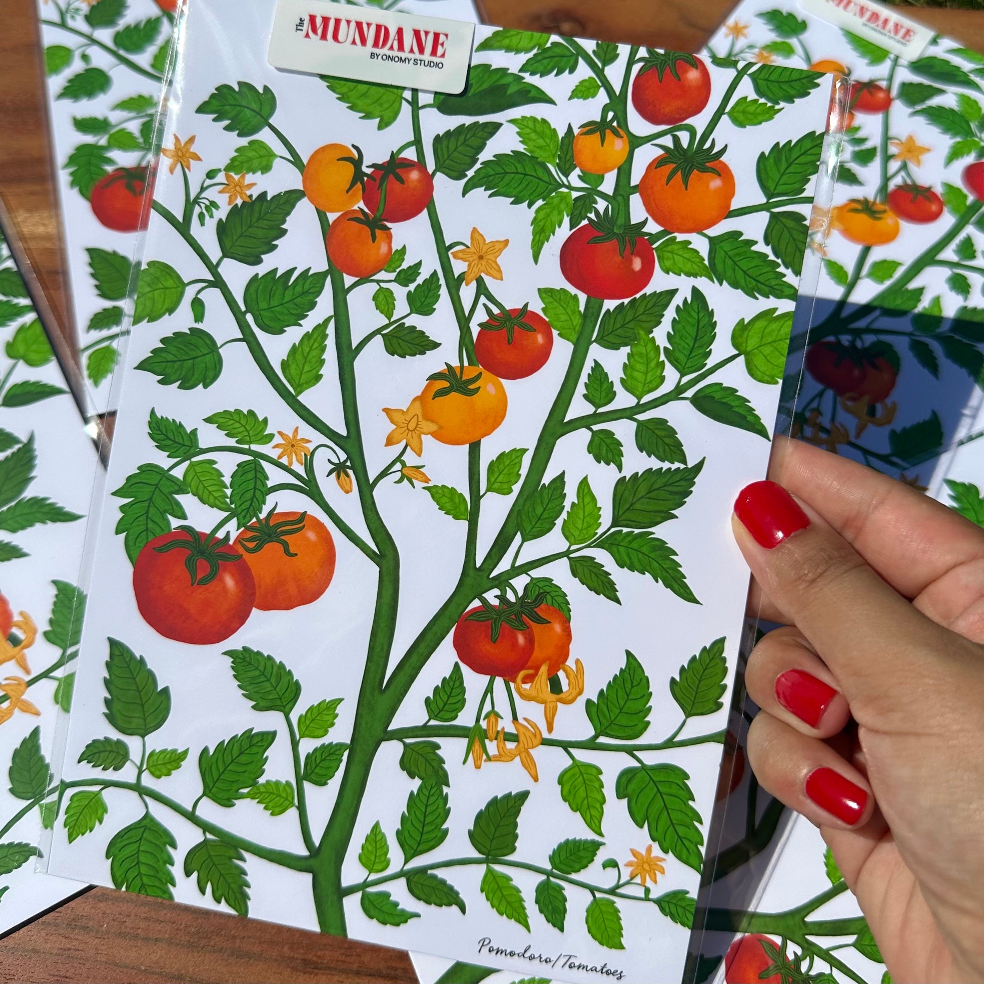 Sheets of paper with tomato plant design held by a hand with red nail polish.