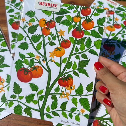 Sheets of paper with tomato plant design held by a hand with red nail polish.