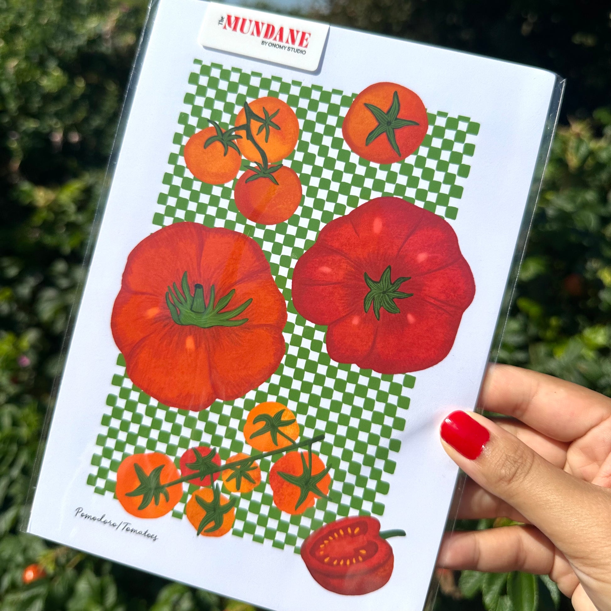 Close up of tomato illustrated art print, Mediterranean kitchen decor printed on fine art paper
