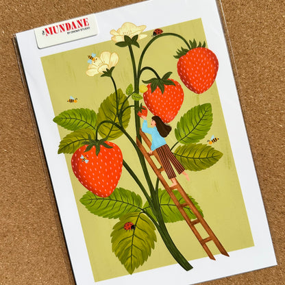 Illustration of a person on a ladder picking strawberries with a Mundane brand label.
