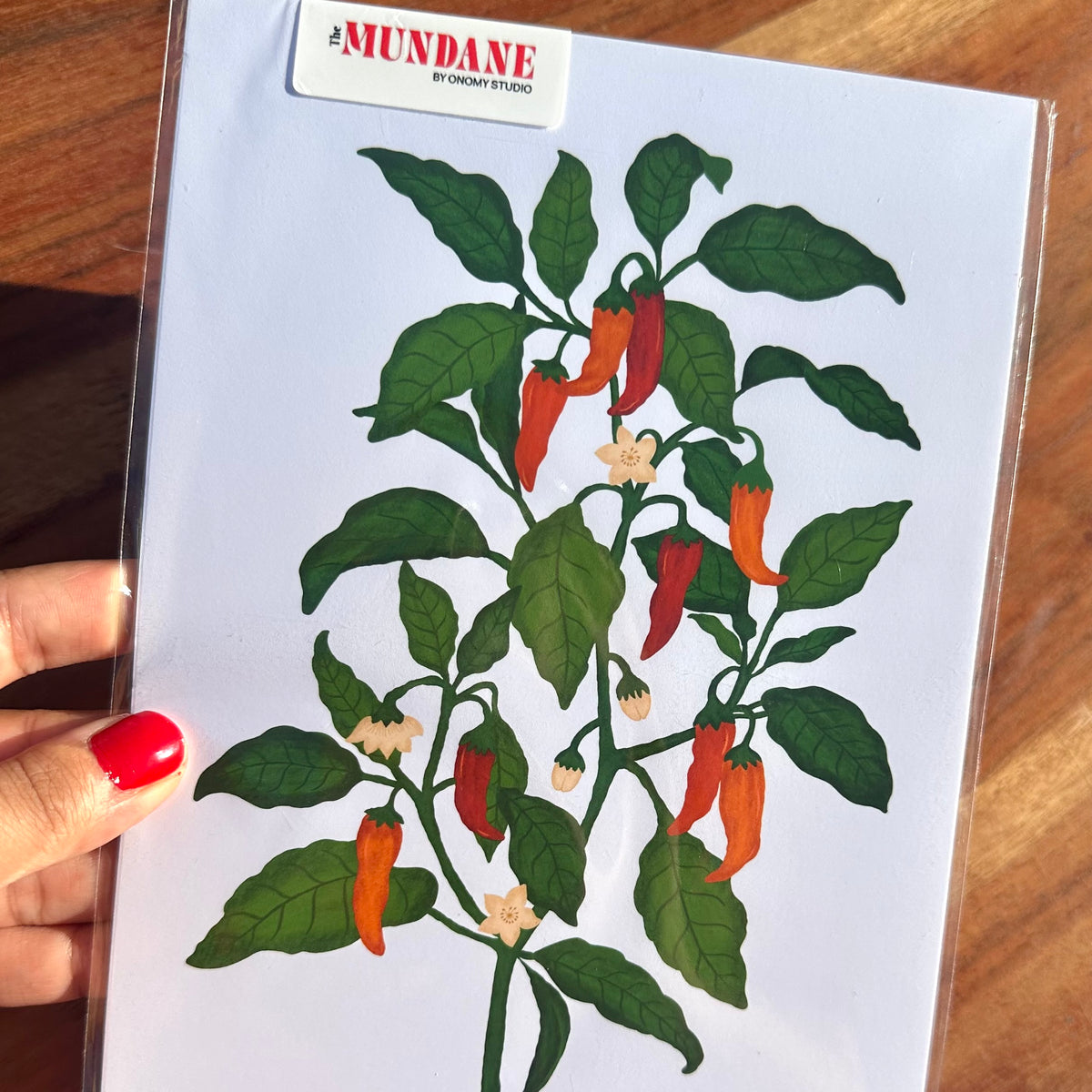 Chilli Plant Giclée Art Print