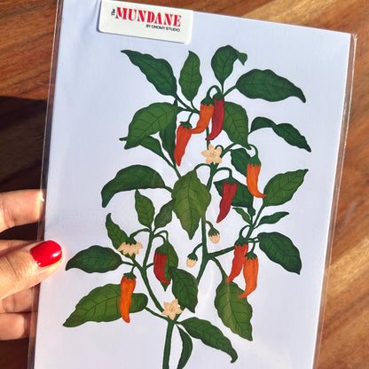 Chilli Plant Giclée Art Print