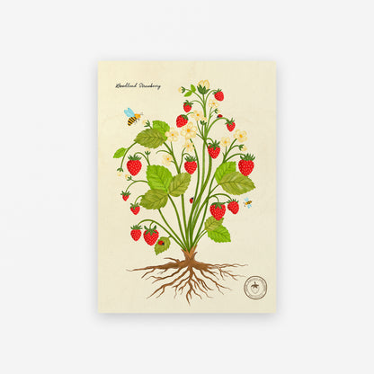 Notebook cover with a botanical illustration of a strawberry plant on a beige background