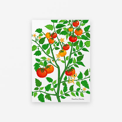 Tomato Plant Giclée Art Print