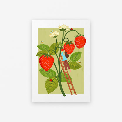 Illustration of a person on a ladder picking strawberries from a large plant.