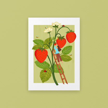 Illustration of a person on a ladder picking strawberries from a plant with flowers and leaves.