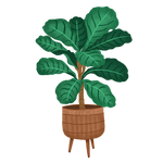 Urban Plant