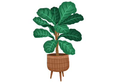 Urban Plant