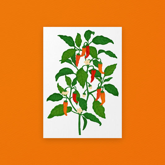 The Mundane gift shop - chilli Plant art print - HOT HOT Chilli collection - Gift for her -  gift for foodies - Gift for birthday - 2