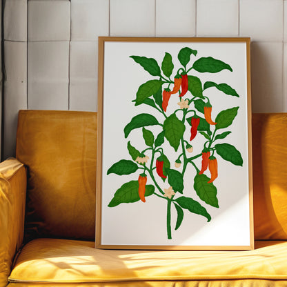 The Mundane gift shop - chilli Plant art print - HOT HOT Chilli collection - Gift for her -  gift for foodies - Gift for birthday - gift for him