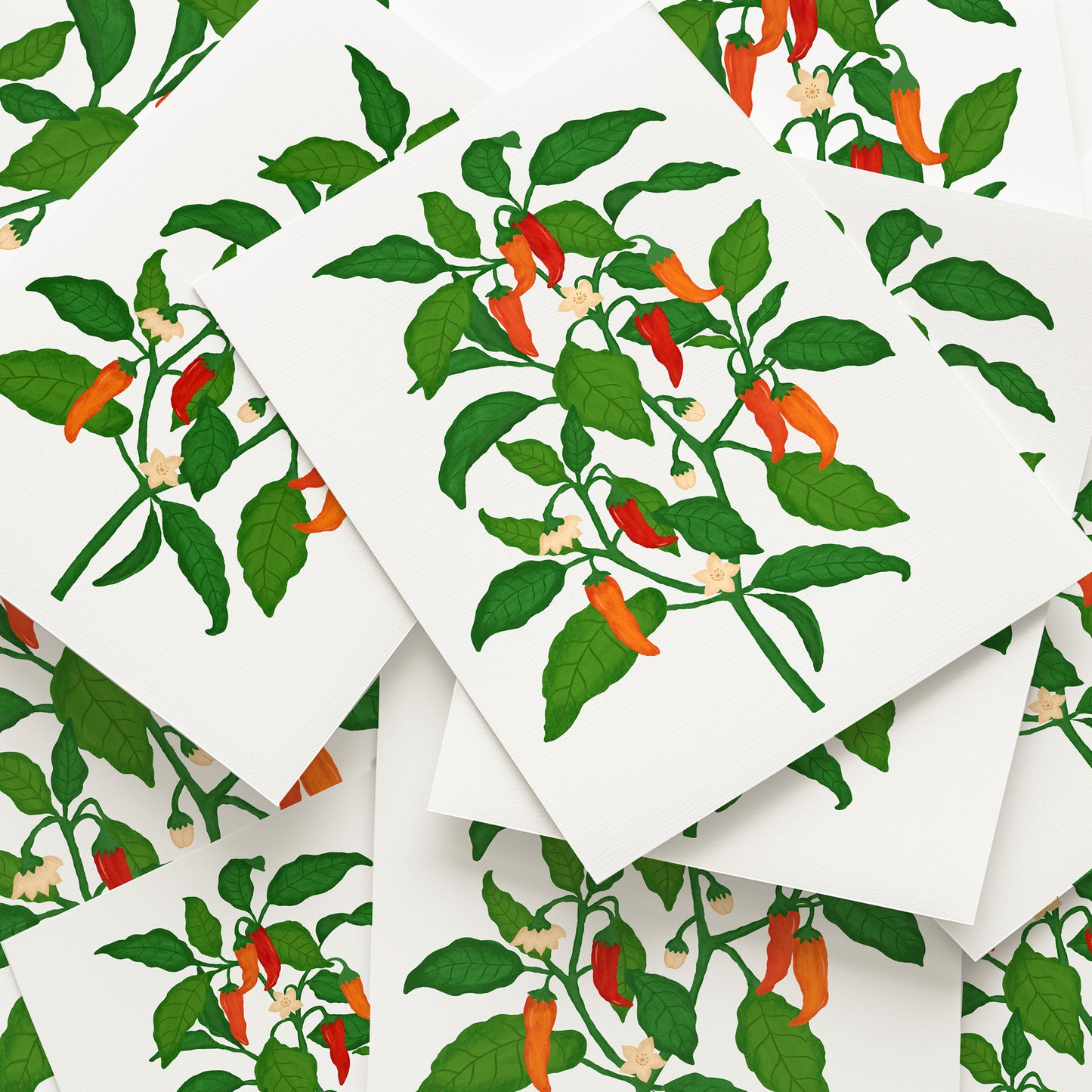 The Mundane gift shop - chilli Plant art print - HOT HOT Chilli collection - Gift for her -  gift for foodies - Gift for birthday 2