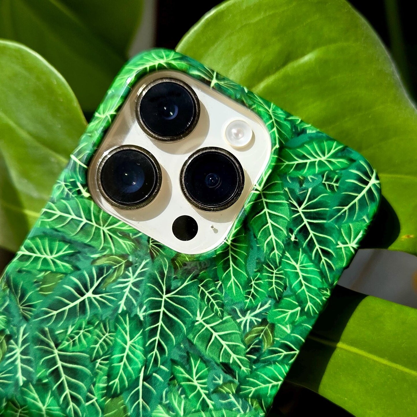 Botanical leaf Phone Case for iPhone 11 12 13 14 Pro Max & Samsung S22 S23 House Plant Pattern Case